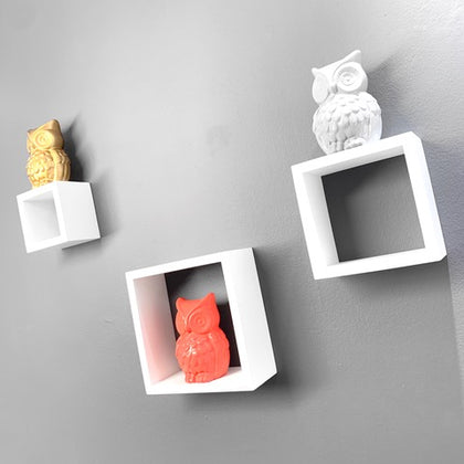 Shelves