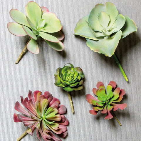Botanicals