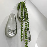 Long Hanging Plant
