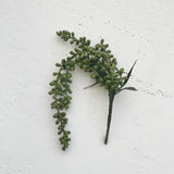 Hanging Plant