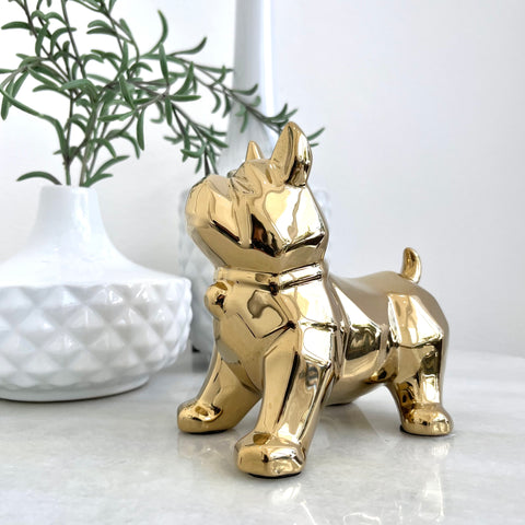 Gold French Bulldog