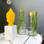 Buddha on Pedestal