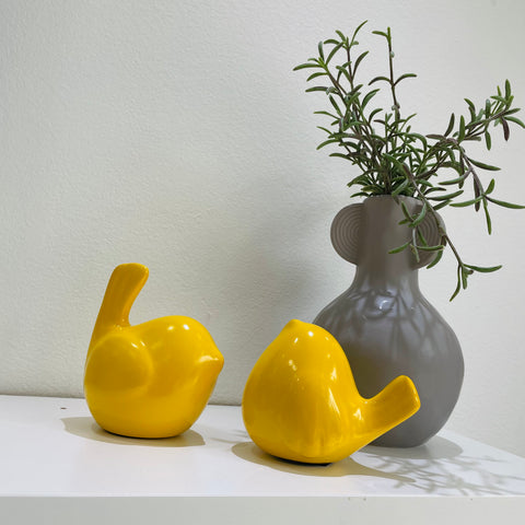 Round Birds