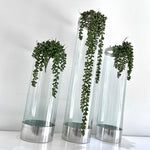 Glass Vase Set (PICK UP ONLY)