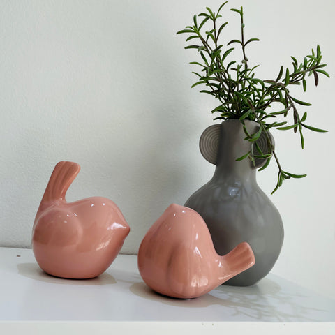 Round Birds